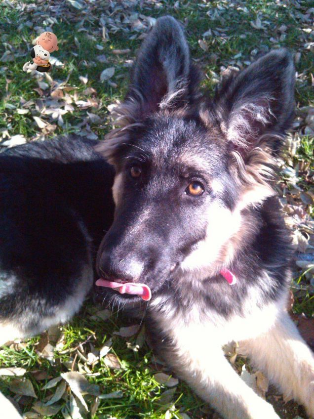 Una giornata di sole