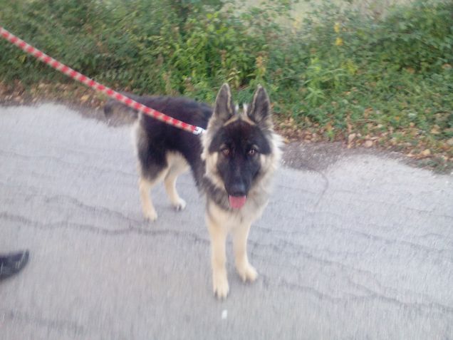 Che bella passeggiata!