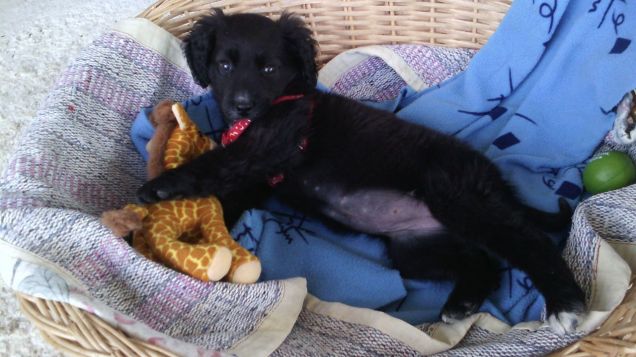 amore come eri piccola... pero'sei rimasta dolce .. sei di una dolcezza unica