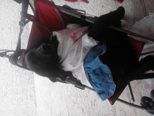 quando la lasci con i bambini la ritrovi così... lei si lascia fare di tutto