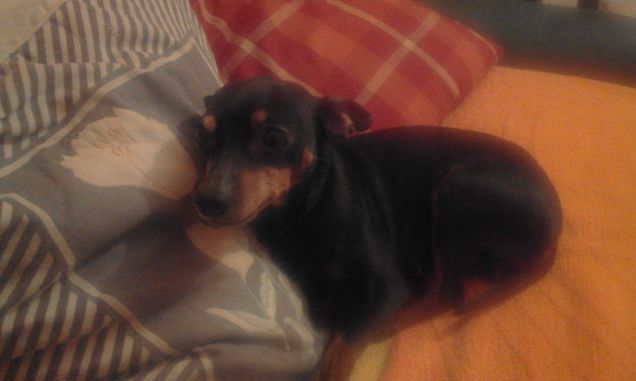 questa sera sono stanca