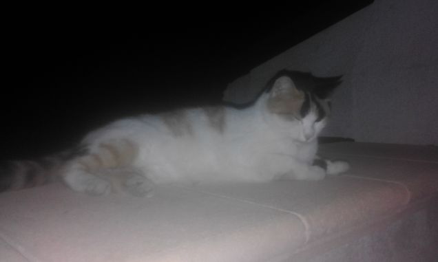 che fai oggi dormi fuori?