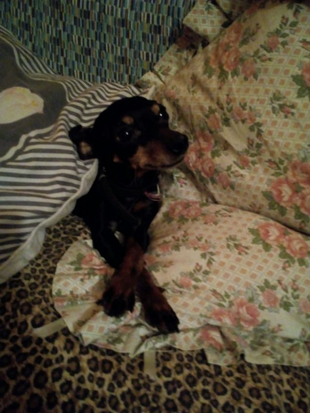 Che posa da vera signora