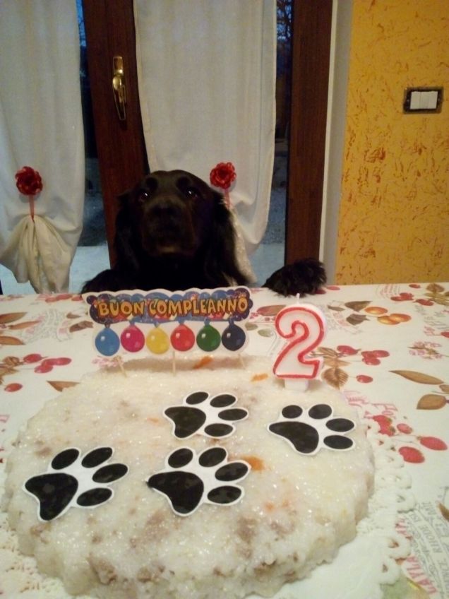 Compleanno Cherie .. 2 anni