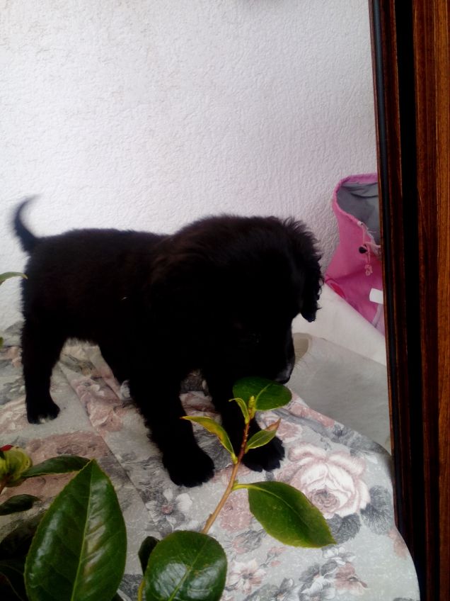 Ricordo di quando eri cucciola