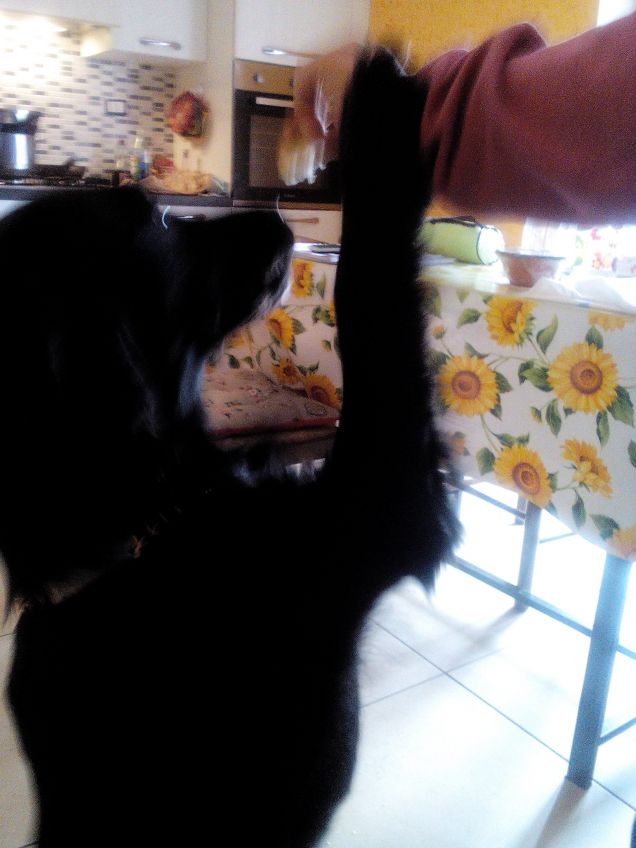 Mi dai un biscottino?