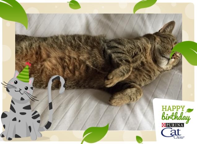 dopo una notte brava ....