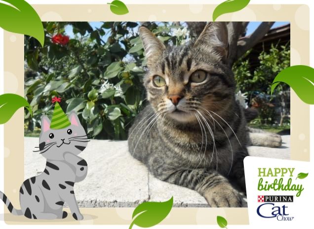 Tuscolino in giardino