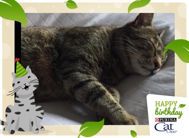 il riposo del guerriero