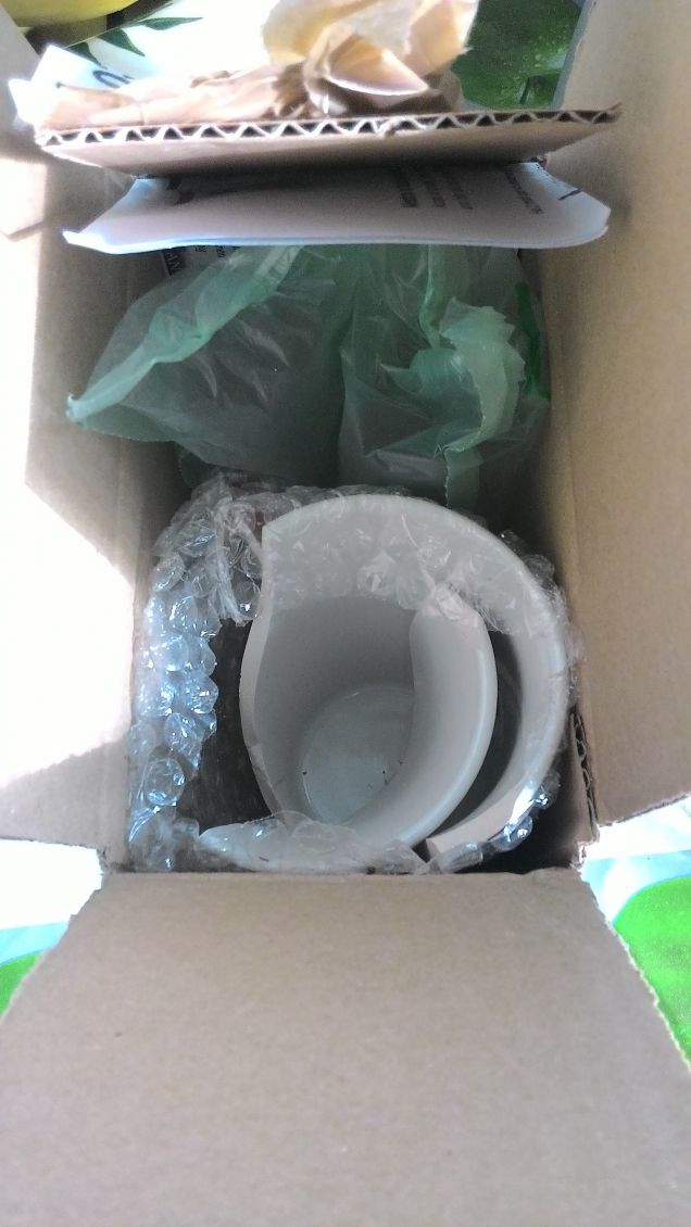 Anche la mia tazza è rotta
