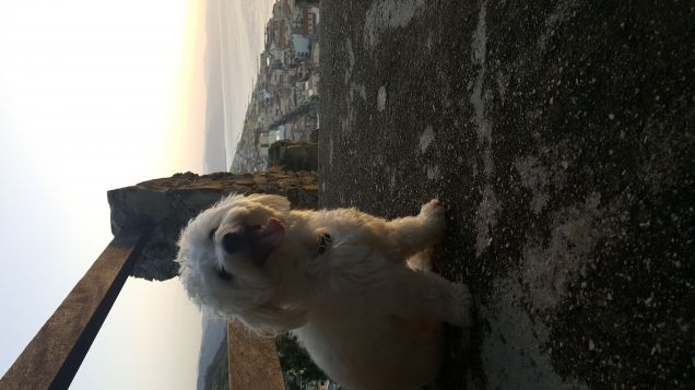 Alla scoperta del mondo 