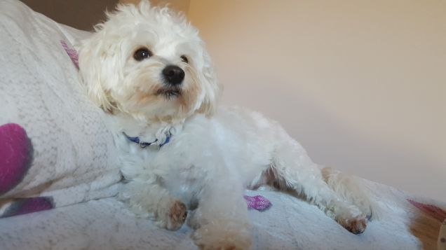 Quando la felicità ha un nome.... spank