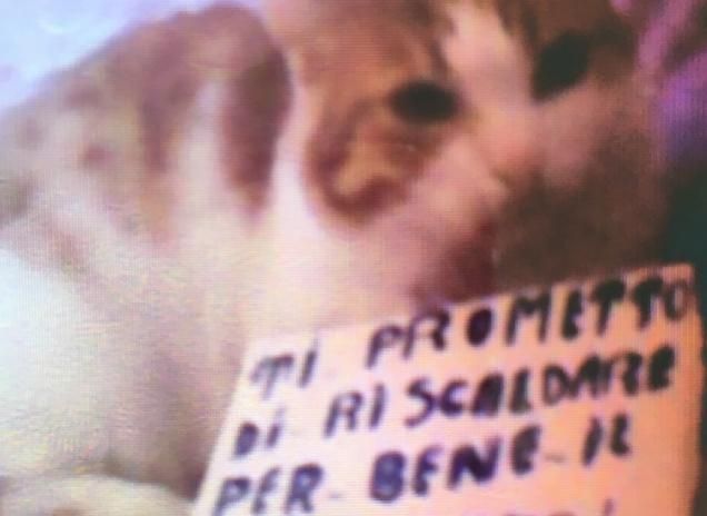 Il letto te lo presto