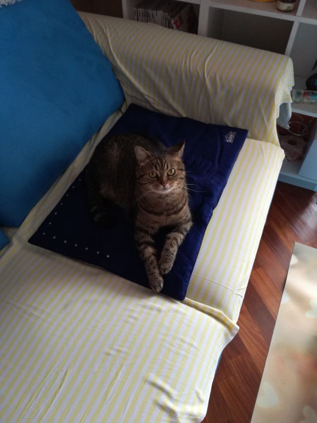 Iris apprezza i regali.