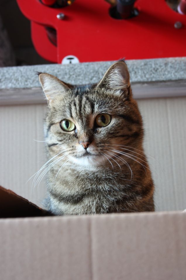 La mia modella preferita 