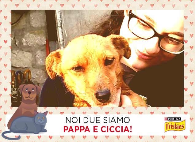 una vagonata di dolcezza