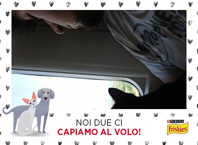 Viaggio d'amore