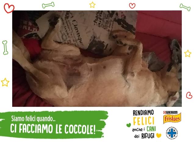 Da quando ci sei tu....