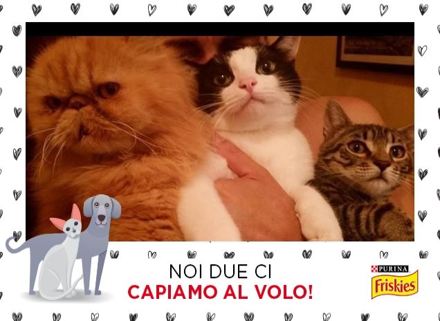 Serata di selfie tri-direzionale