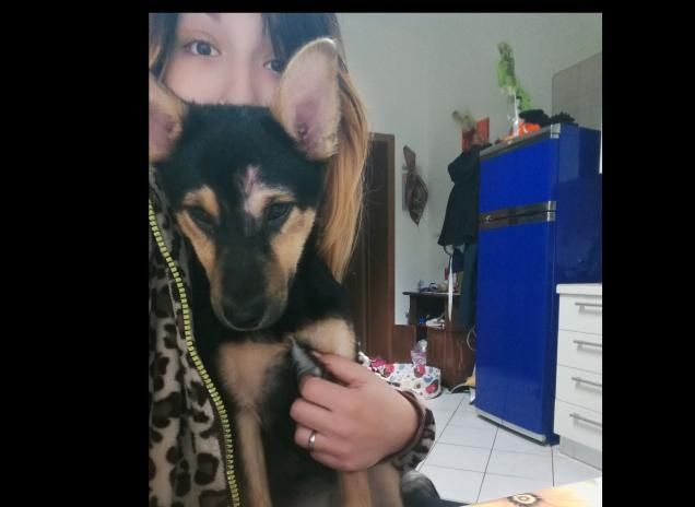 Un amore di meticcia, il mio amore!!