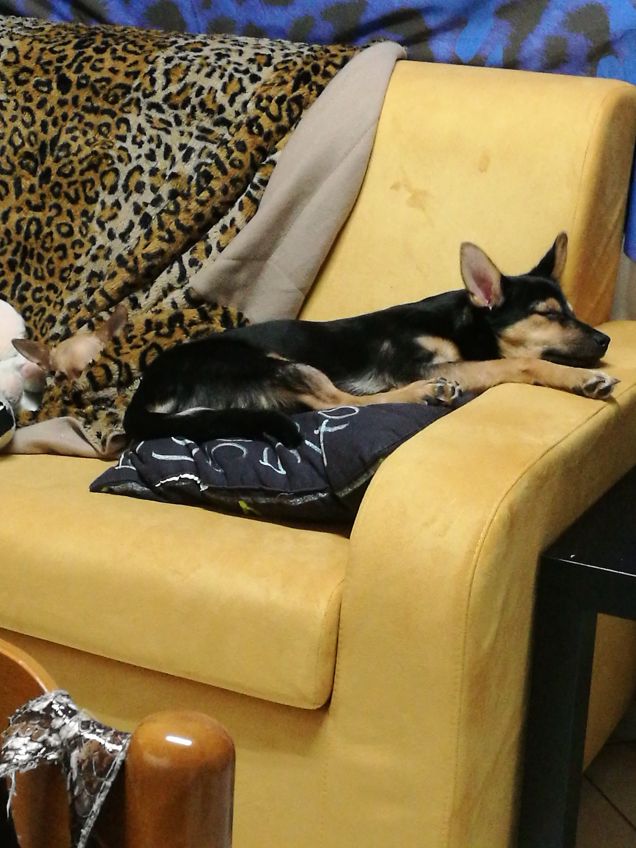 Eh la nanna, la nanna.