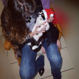 assia