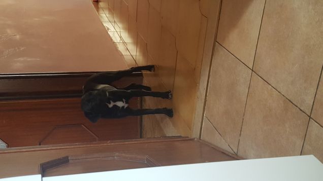 Ospite benvenuto ❤