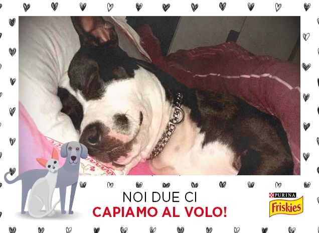 dakota la spensierata