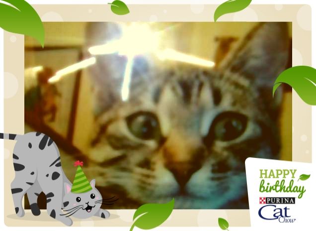 Un amore troppo grande!!