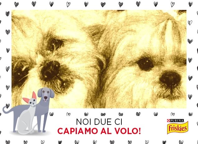 bianco e nero con amore