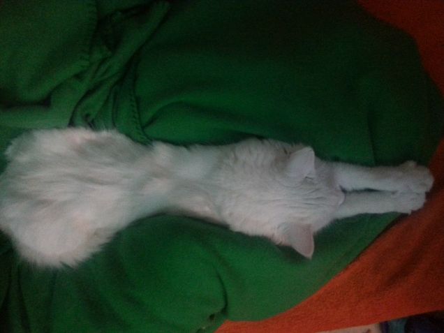 Io e il mio Pile..che ora è suo..