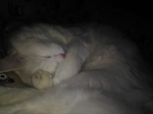 inverno si avvicina..e si vede...