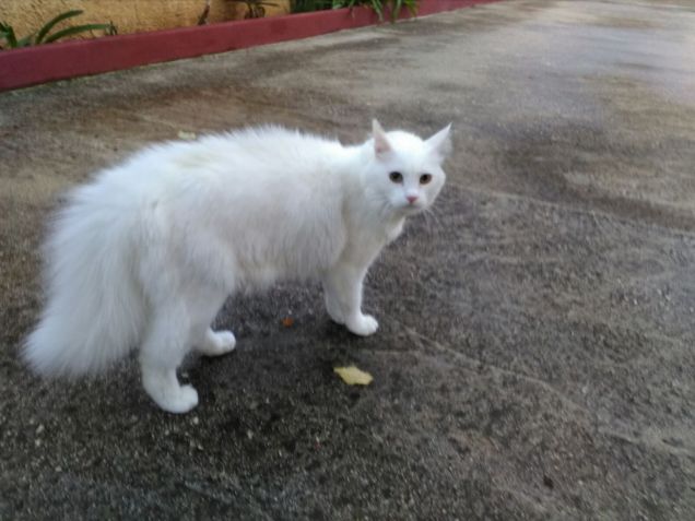 Lasciatemi stare..non è giornata oggi...