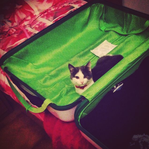 Sempre in viaggio...INSIEME!