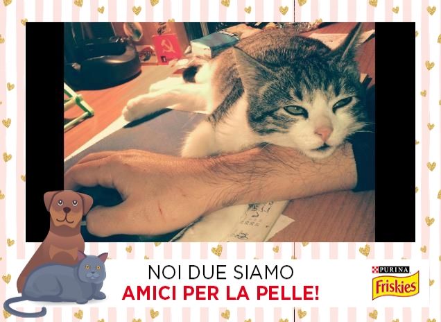 'Umano, non muoverti! Devo dormire!'