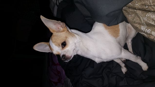 Foto genica bellissima la mia piccola Luce 