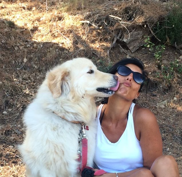 l'affetto nei confronti del padrone