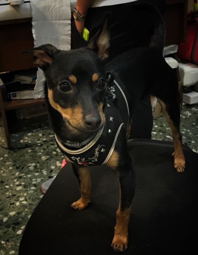 La bimba di mamma ❤️