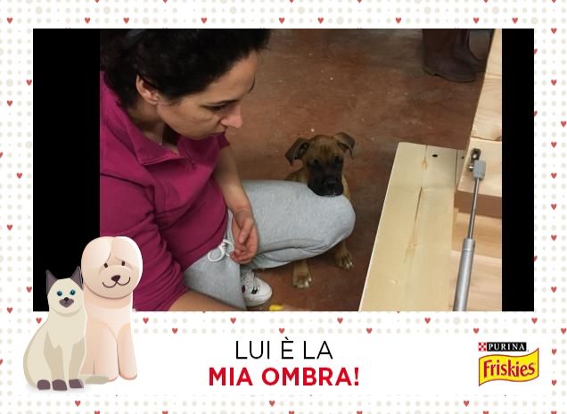 2 corpi una sola ombra!!!