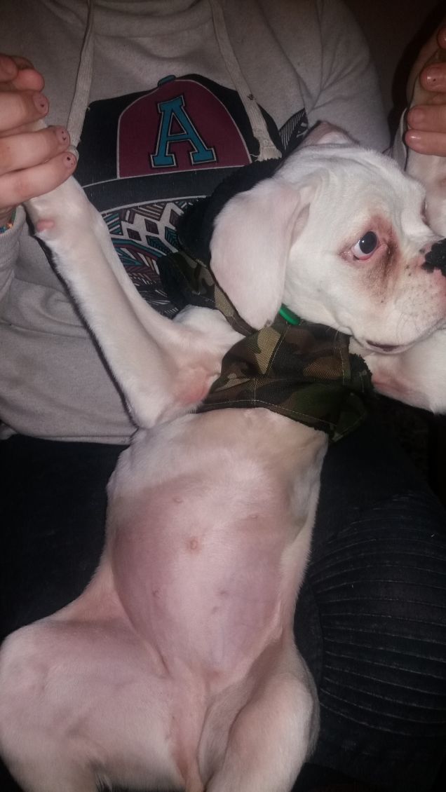 Una bimba grande grande.