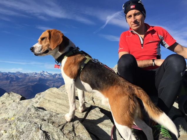 nel blu dipinto di blu