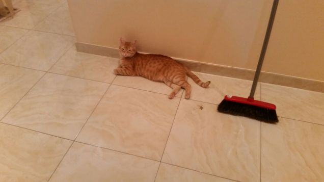 Non mi dire che devo spostarmi?