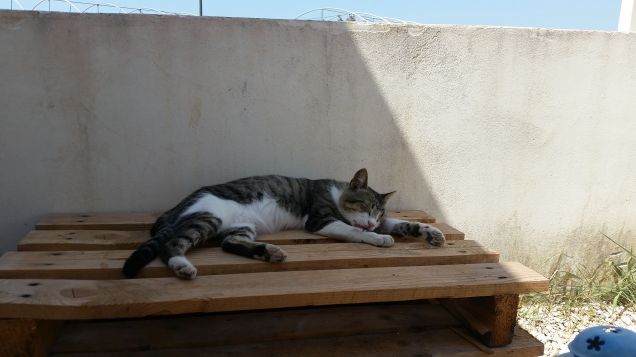 Vacanze di settembre