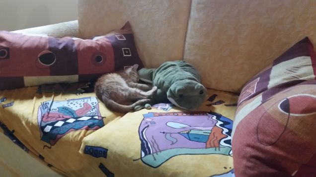 Mimi e la signora Rana2