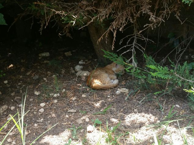 Un posto tranquillo...