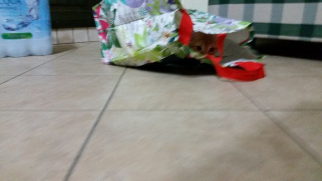 Il mio primo nascondiglio