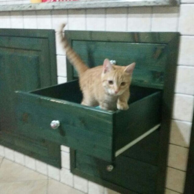 Un salto nel cassetto