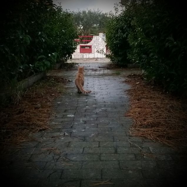 Hey chi sei?