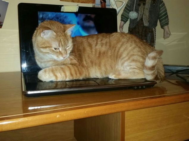 PC ... che comodità 