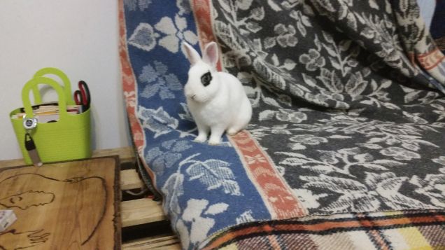 E' bellissimo stare sul divano!!